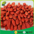 Chinese goji wolfberry wholesale goji berries